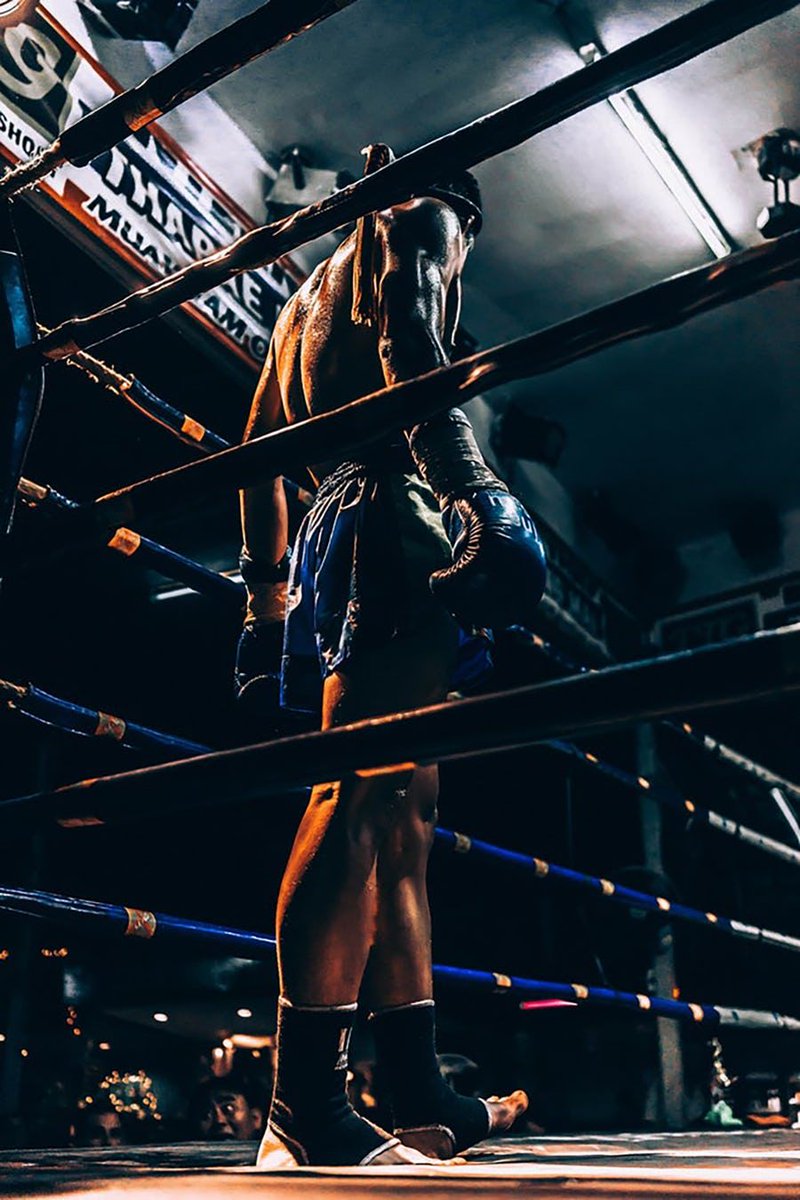 mmafightshopuae's tweet photo. Legends take no days off, neither should you
#workhardplayhard #mmafightshop #uae #martialarts #dubai #boxing #kickboxing #fitness #wrestling #fight #training #karate #fighter #mmafighter #fighting #crossfit #life #thaiboxing #champion #sports #fitnessmotivation #boxingtraining https://t.co/OImR35jYzp
