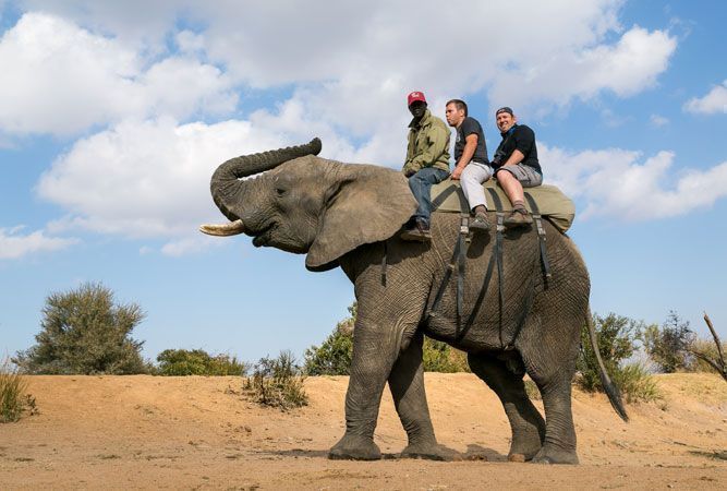 savenuescom's tweet image. Best Places to see Elephants in South Africa - South Africa Travel News bit.ly/2HXUM3d #SAV #LoveSouthAfrica #WeDoTourism #Elephants