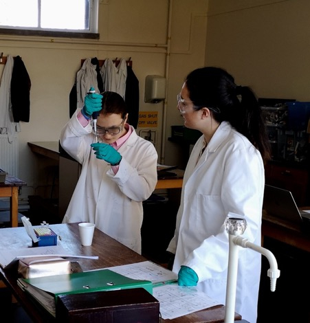 Year 13 learnt about an essential tool which is used in genetic engineering; DNA ligase. They used this to catalyse covalent bond formation between the linear fragment with sticky ends. Aiming to make the recombinant plasmid pARA-R containing both the rfp gene and the ampR gene