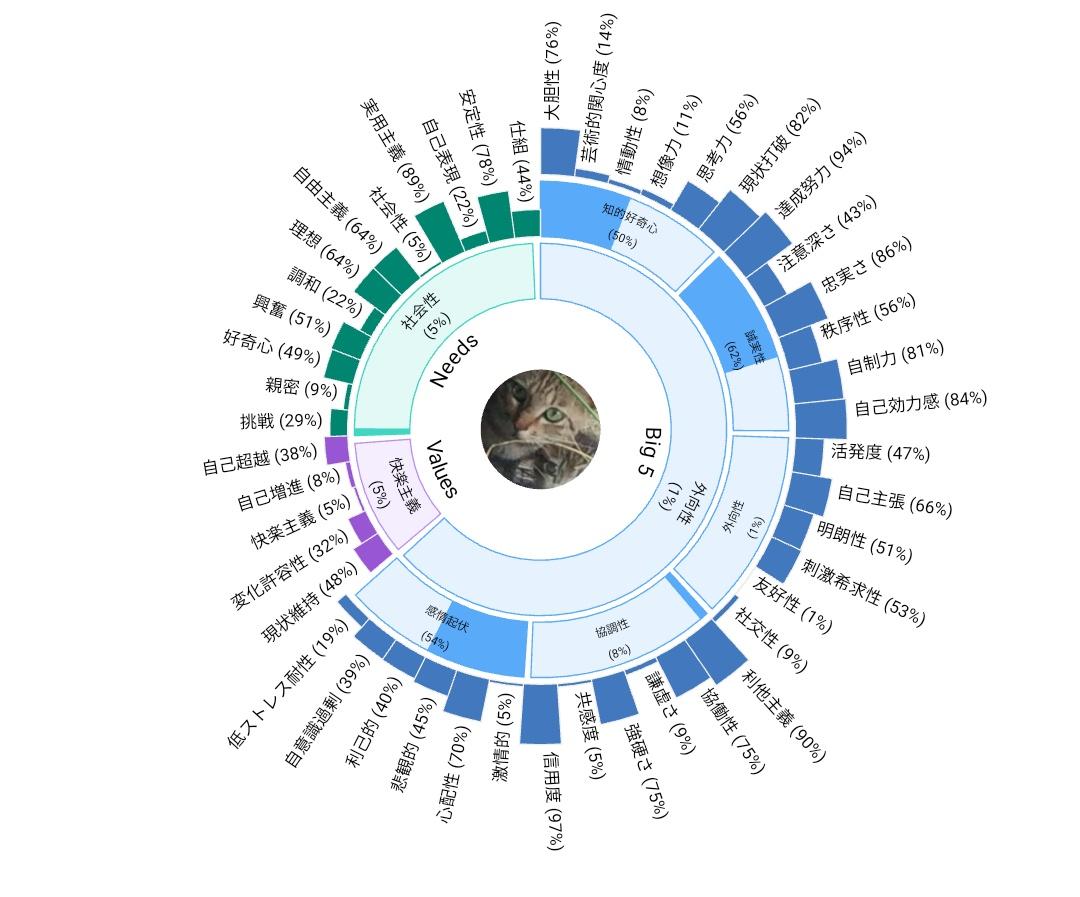 Dr うさぎだん Doctor Usagidan Twitter