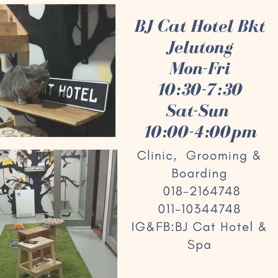 Afif Kamal Afiflah Twitter