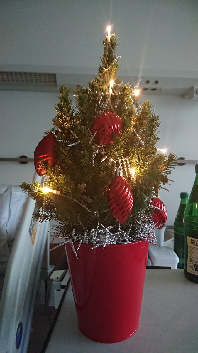 While I was still traveling in Norway in Dec, my father broke his ankle. 😥 So, we had our Xmas tree in the hospital in my parents' city, then he moved to physical rehab this month and should finally return home soon. Hence my silence - no mood/time for writing these past weeks.