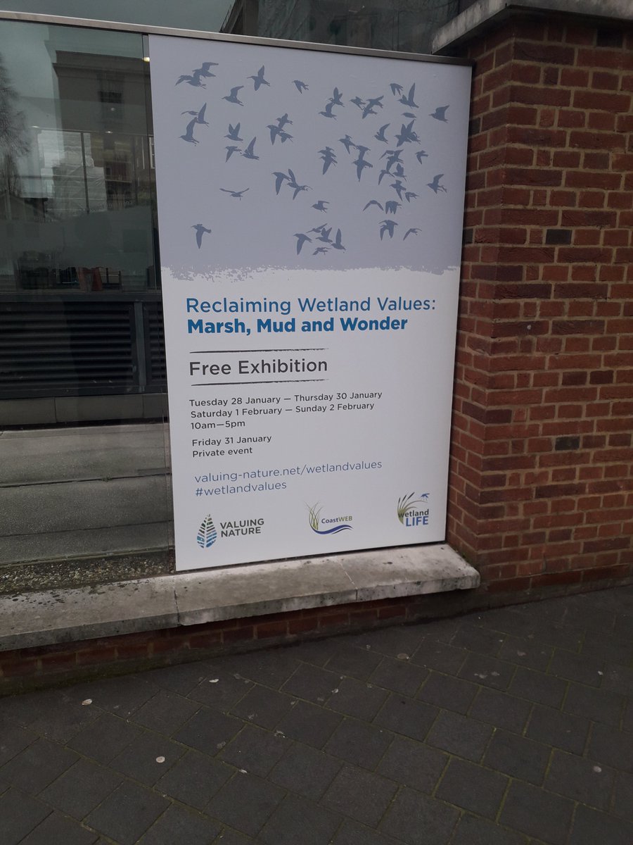 Mary Gearey tweet media