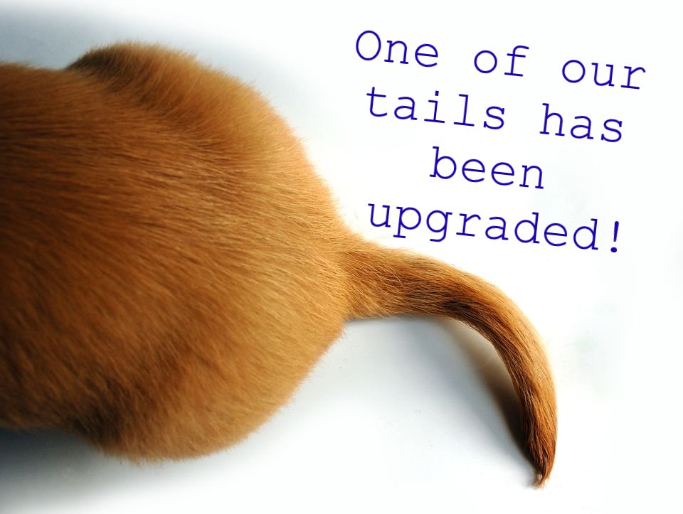 We still need a couple of marshals for this Sunday's junior parkrun so do step forward, lovely people!

Not only will you get to guide our wonderful juniors round the course but you will also get to see the NEWLY REVAMPED tail being modelled by tailwalker Iain 🕺🥳🦖🐾