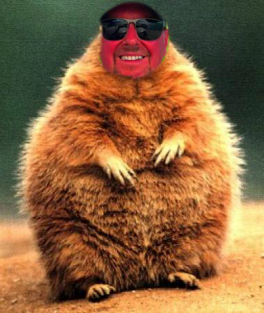 ToffKX947's tweet photo. #faceinhole @faceinhole https://t.co/shg1UNgASc