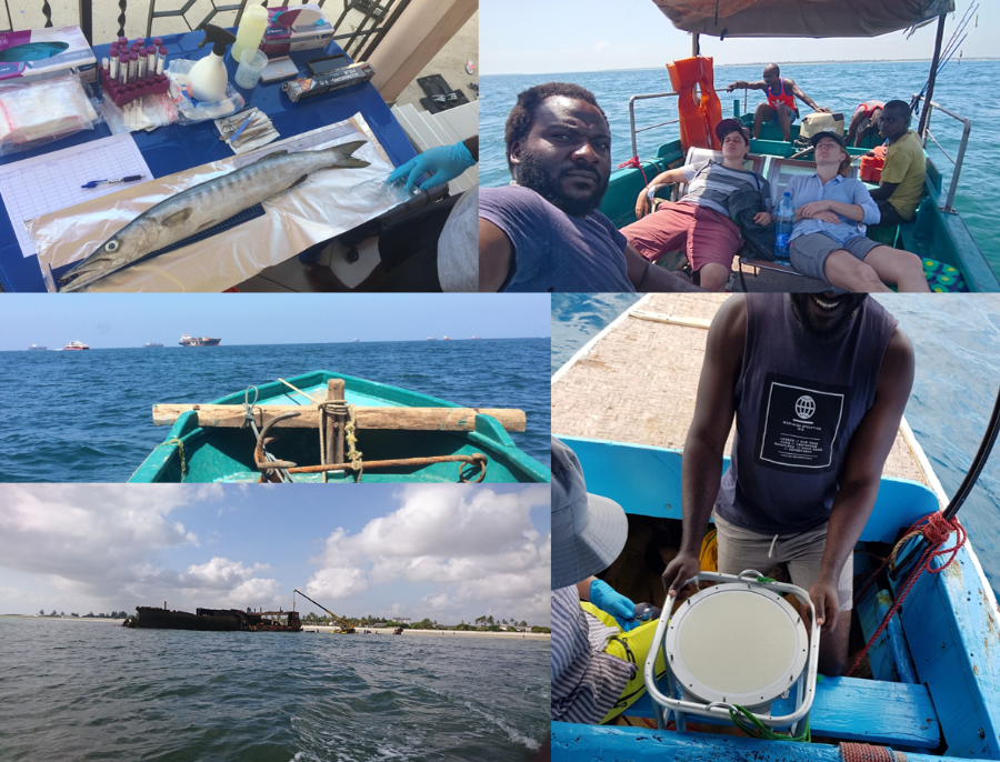 Borgå Ecotox Research Group tweet media