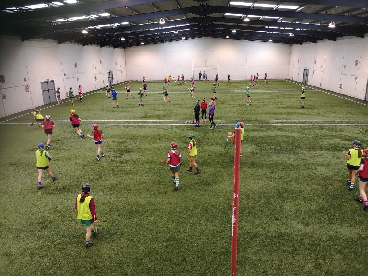 mercynewross's tweet photo. Thanks to @BannowBmittyGaa for the venue for a minor camogie blitz today. https://t.co/5ZVGCRVPCC