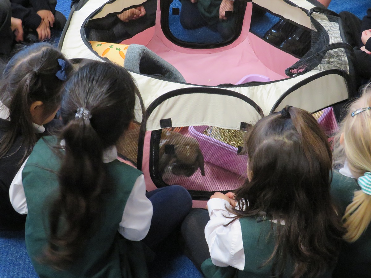 Derby High School tweet media