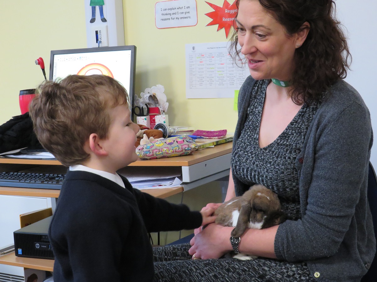 Derby High School tweet media