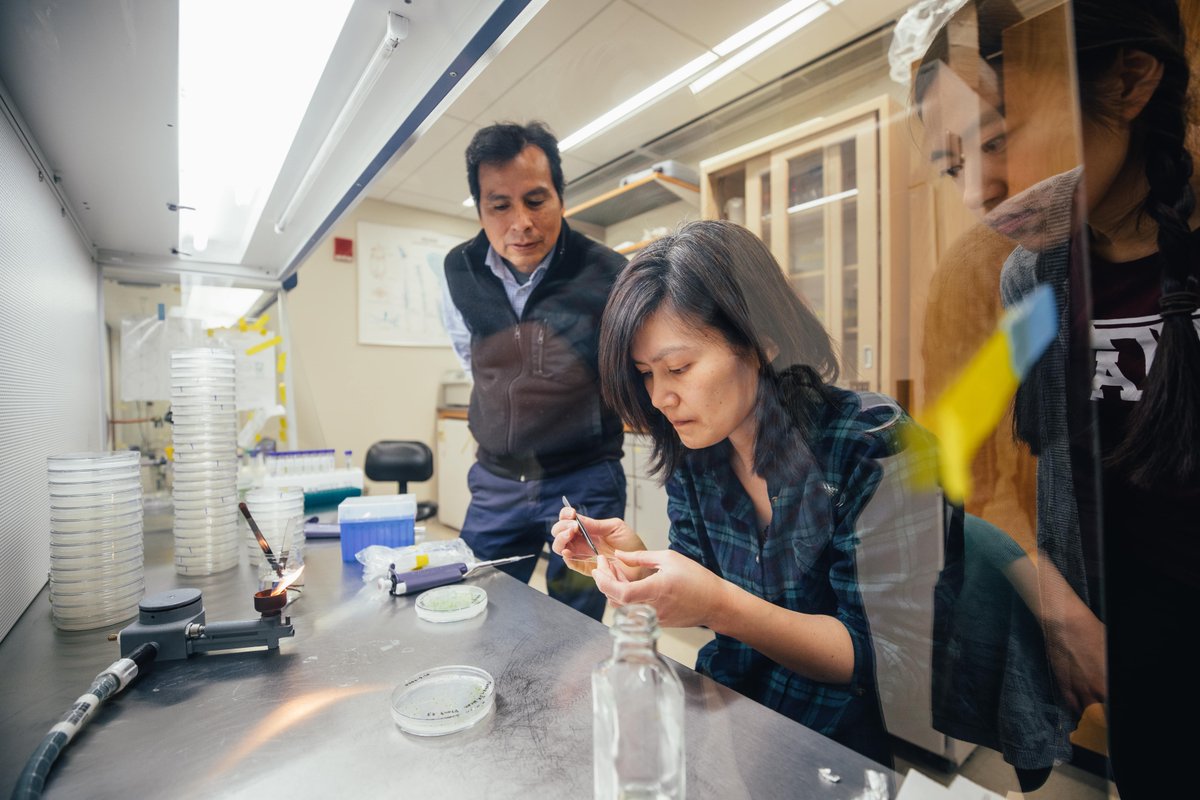 A professor watches a student as she carefully places a sample in a petri dish. 