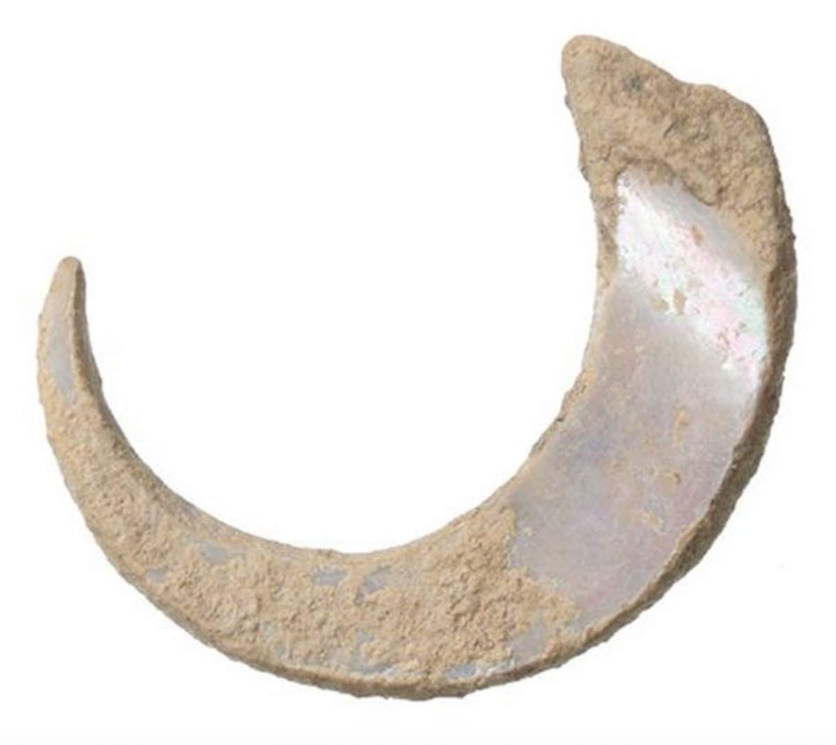 Ryukyuan fishhooks - the oldest fishhooks in the world, around 23,000 years old. 