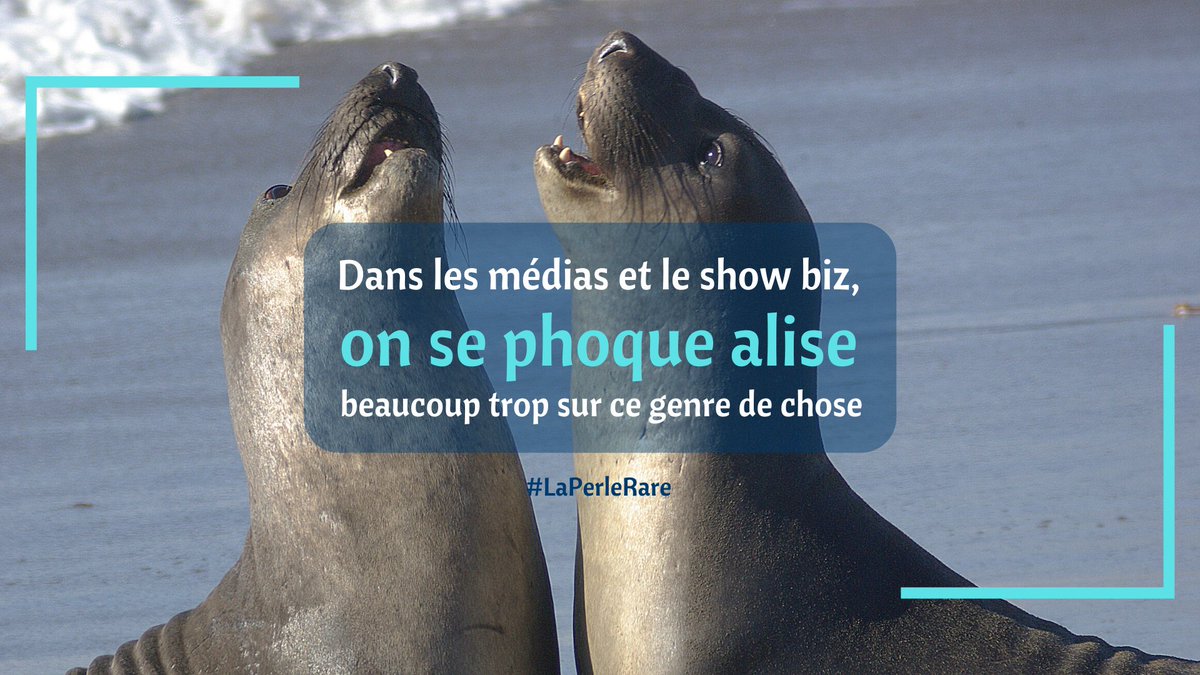 atchik's tweet photo. 🔮 En ce moment, les médias sont peut-être occupés à décrire de nouveaux arctiques... 😂

#luaubureau #changementclimatique #viedemodo #laperlerare #modération https://t.co/ehSUHL6oer