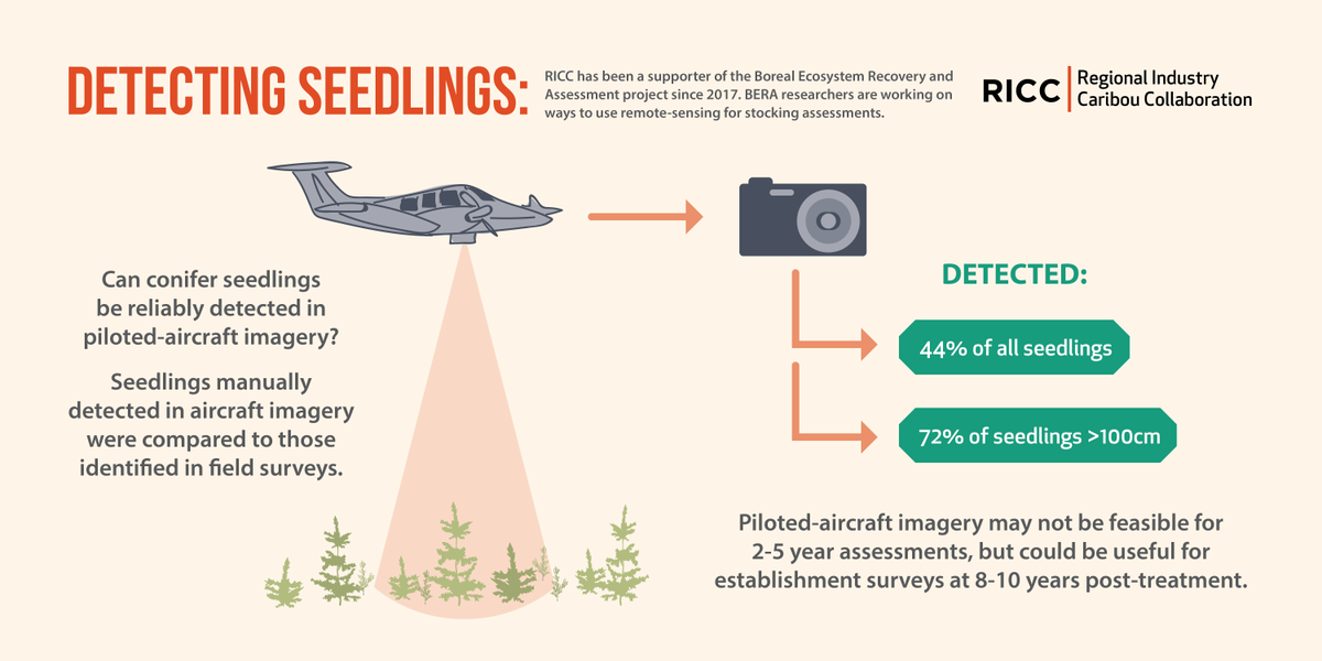 Infographic on detection of conifer seedlings using piloted-aircraft imagery. 72% of seedlings >100cm were detected. Piloted-aircraft imagery may be useful for establishment surveys at 8-10 years post treatment.