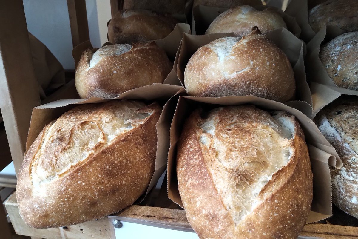 StJohnsBakery's tweet photo. FEB PROMOTION! 
Our Italian White Maria loaf will be available at $1.00 off the regular retail price. (153 Broadview Ave) 

 #non-profit #toblog #bread #Toronto #organicbread #organic #bakery https://t.co/mdTFv3qeRV