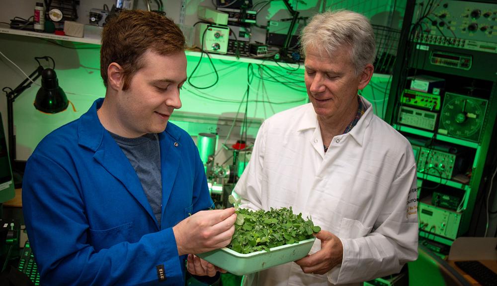 Photograph of faculty member and student in a plant biology lab.