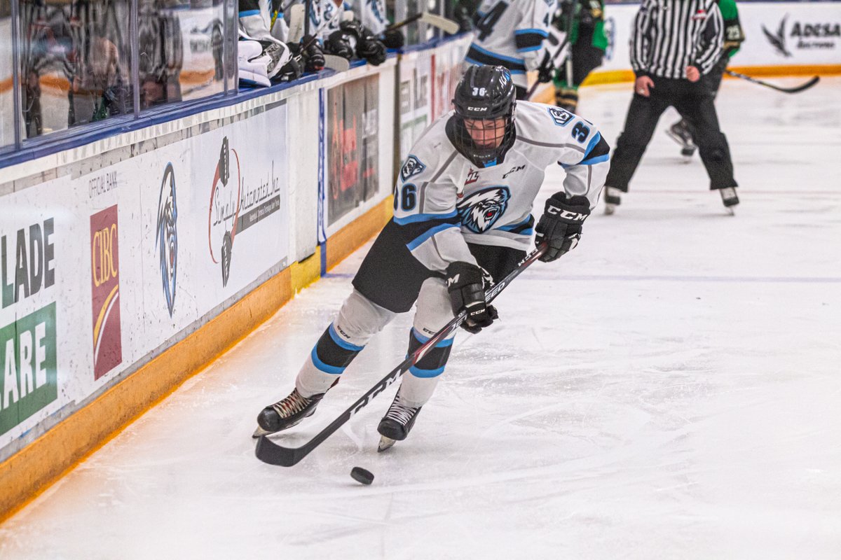 Winnipeg ICE tweet media