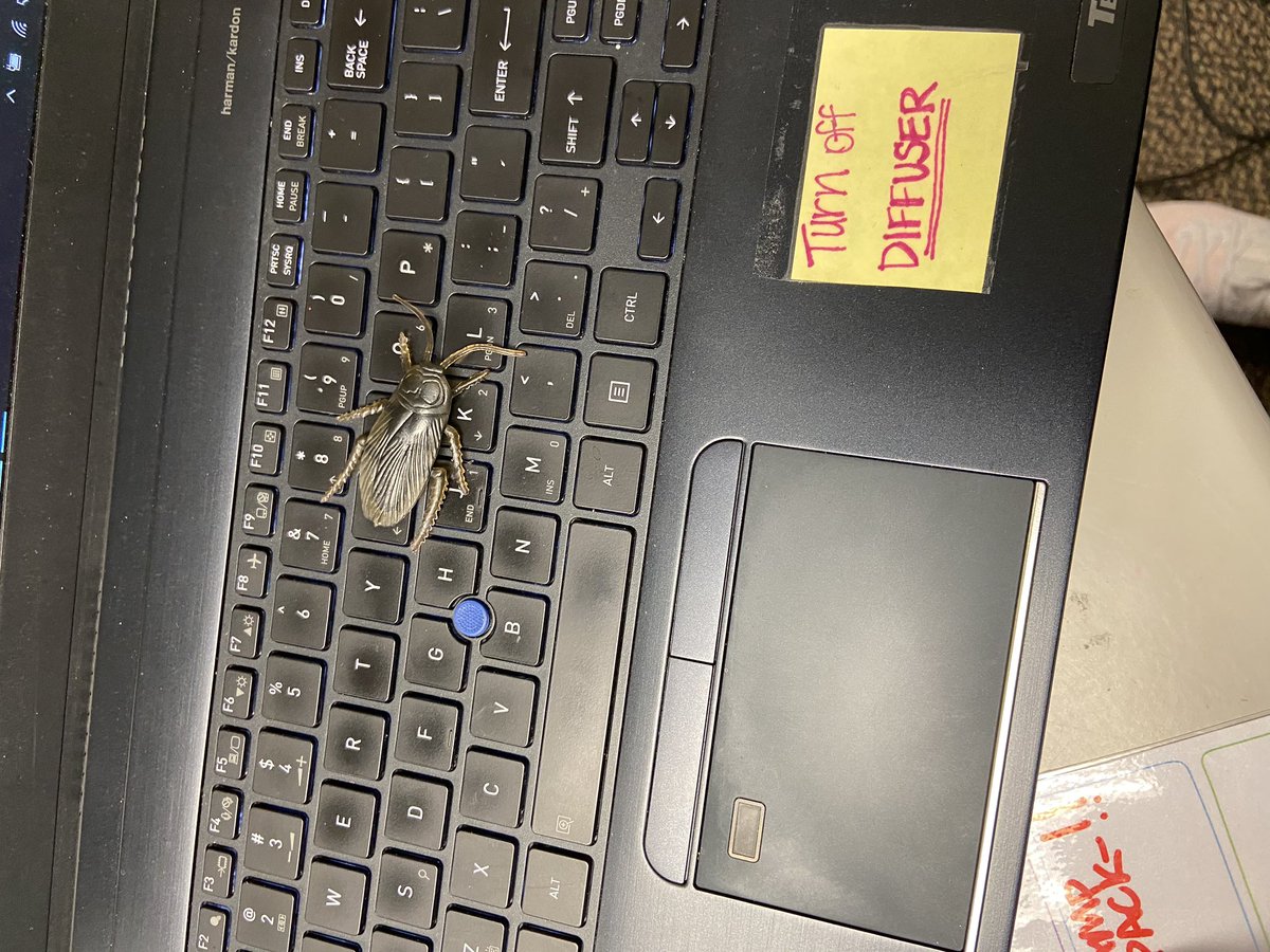 AbelCarly's tweet photo. It brought my student such joy to hear my squeal with this prank! #idiedyall #lookssoreal #shesstilllaughing #neveradullmoment #ilovemiddleschool https://t.co/KPqn4gIclO
