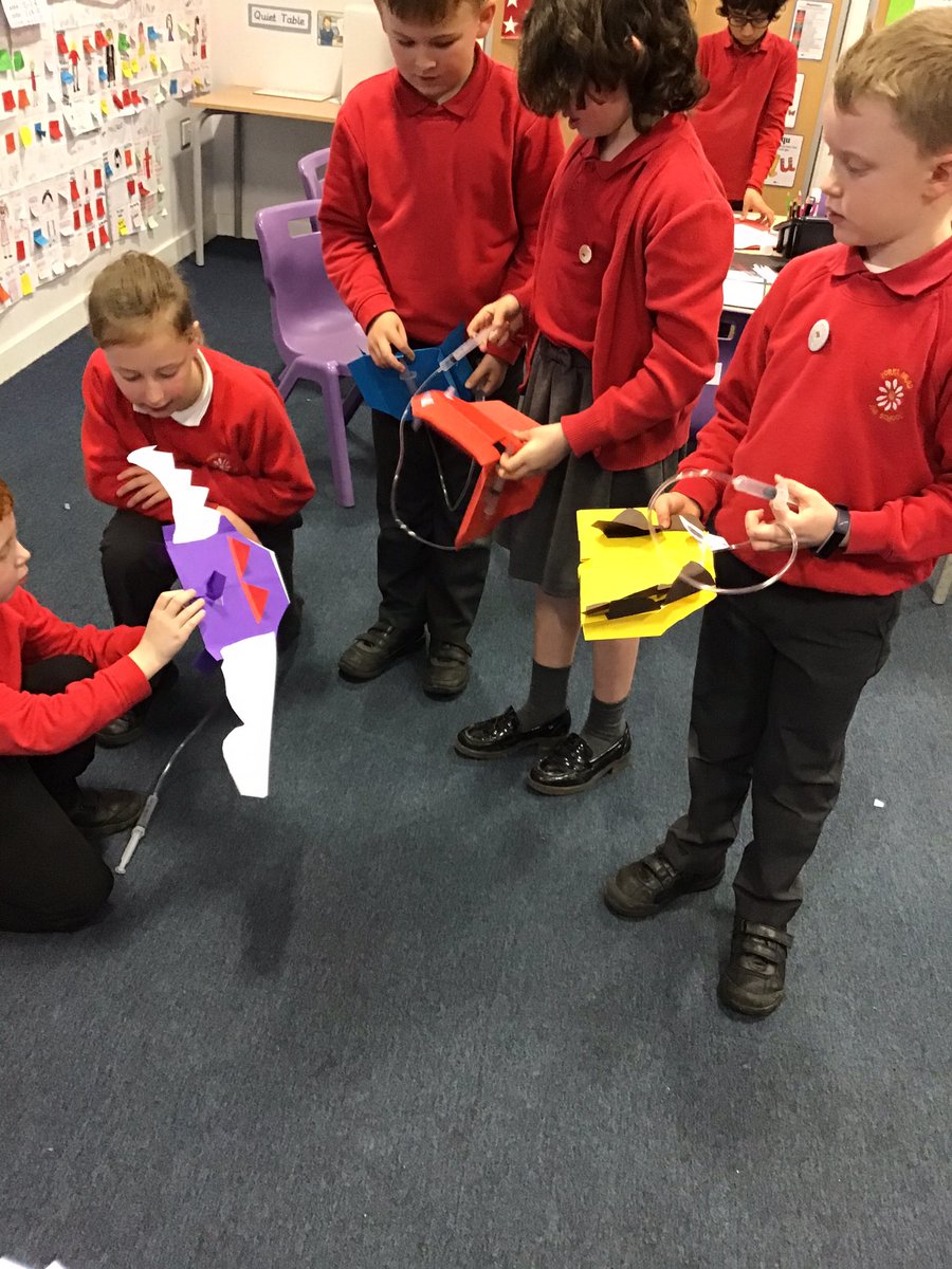 Yorke Mead Primary School on Twitter "Sooooo impressed by the