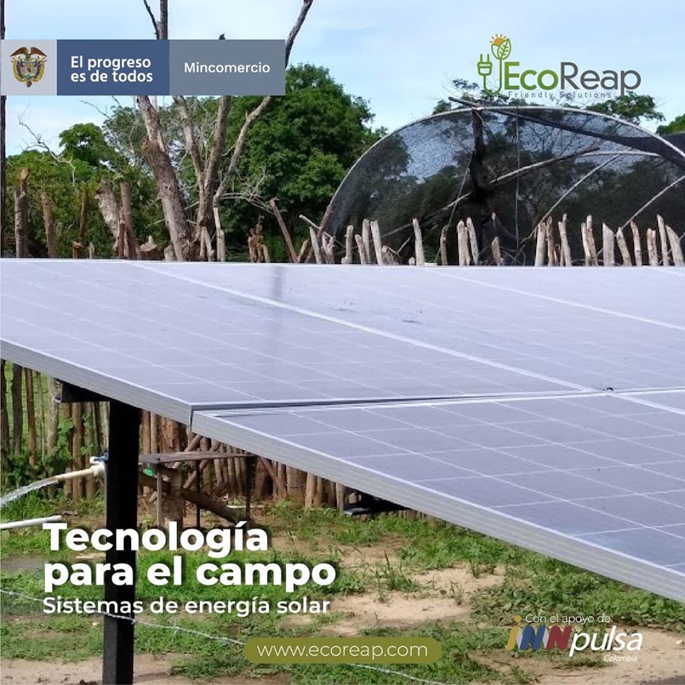 Eco Reap SAS tweet media
