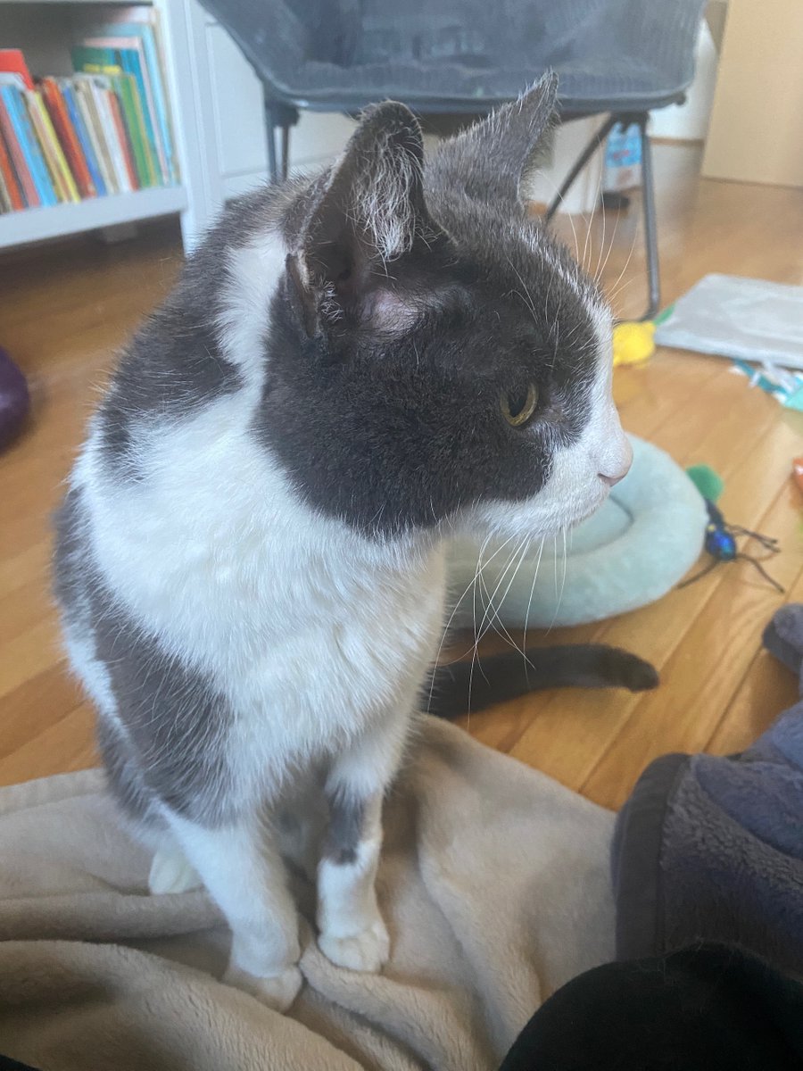 Ask a Manager tweet media