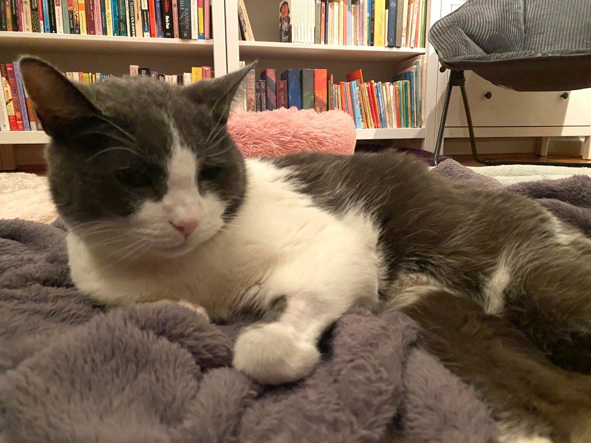 Ask a Manager tweet media