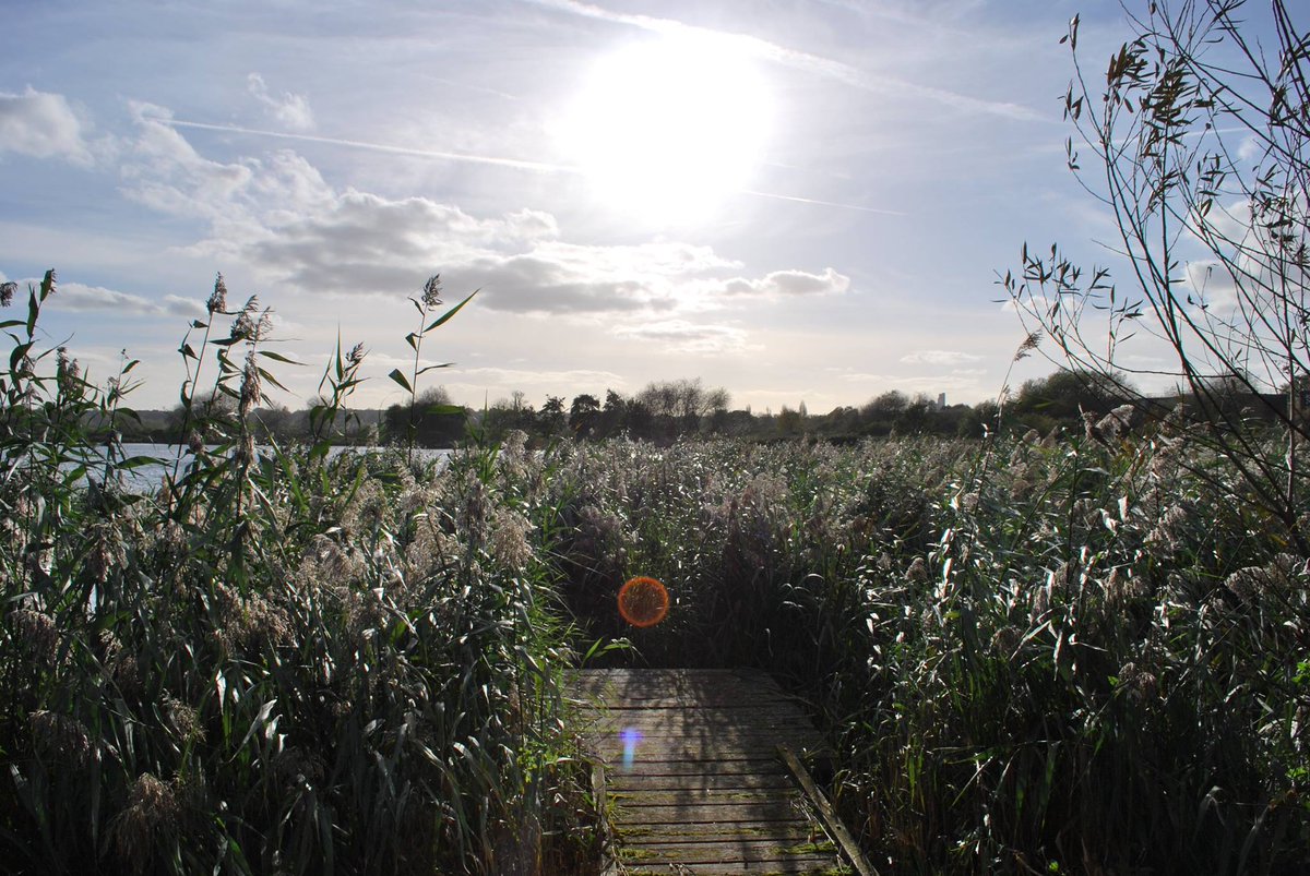 Sun shining over Walthamstow Wetlands