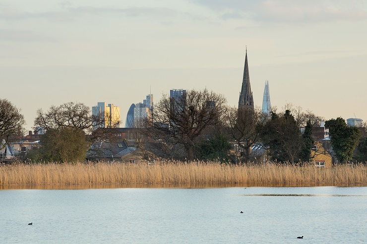 City skyline behind Woodberry Wetlands
