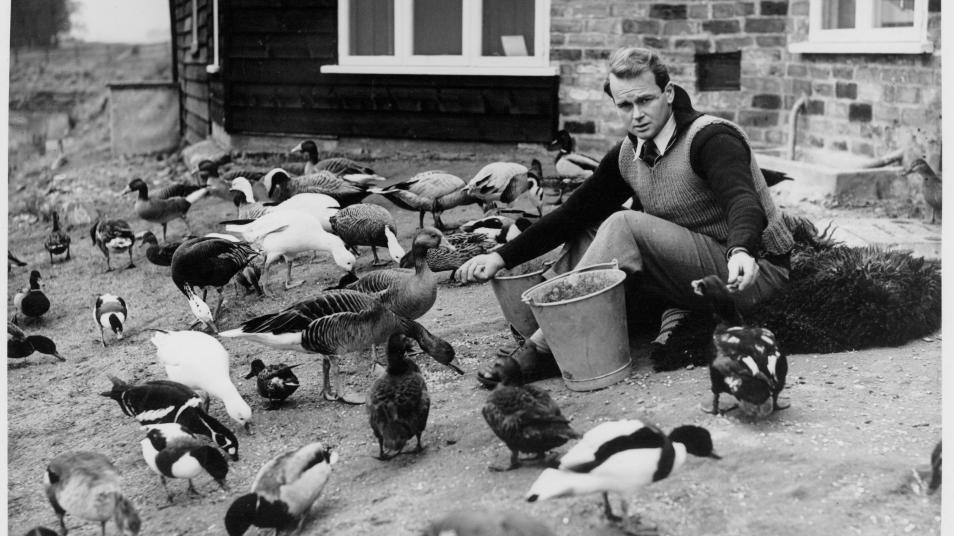 Peter Scott feeding birds at Slimbridge