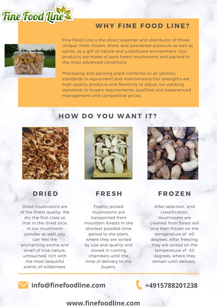FineFoodLine's tweet photo. We're looking forward to meeting you at our booth Hall B, City Cube, Stand D-07 @Fruit_Logistica 

Just follow the link below to schedule a meeting with our team: https://t.co/GpheK66GfA

#organic #export #Wildmushrooms #porcini #blacktrumpet #chanterelle #porcini #fruitlogistica https://t.co/1Dl3Sr11k7