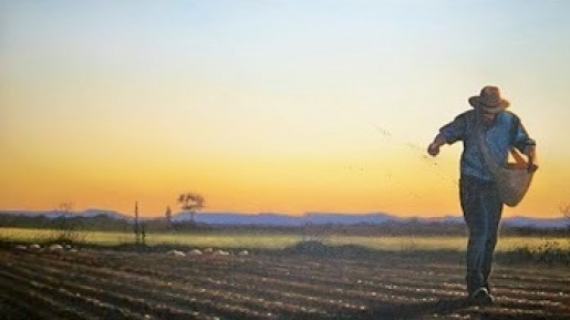 SaintKateriCtr's tweet photo. #Jesus said to the crowds:
“This is how it is with the Kingdom of God;
it is as if a man were to scatter seed on the land
and would sleep and rise night and day
and the seed would sprout and grow. #DailyReading
#BookofNature #land #nature #ecology #FridayThoughts #conservation https://t.co/GMyECeYNhA