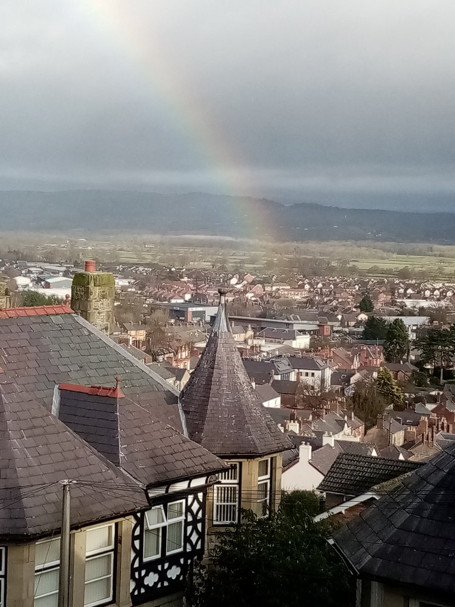 lfcb4's tweet image. There must be some really good  finds in the #specialbuys aisle in @AldiUK this week. #DenbighAldi #Denbigh #Aldi #AldiUK