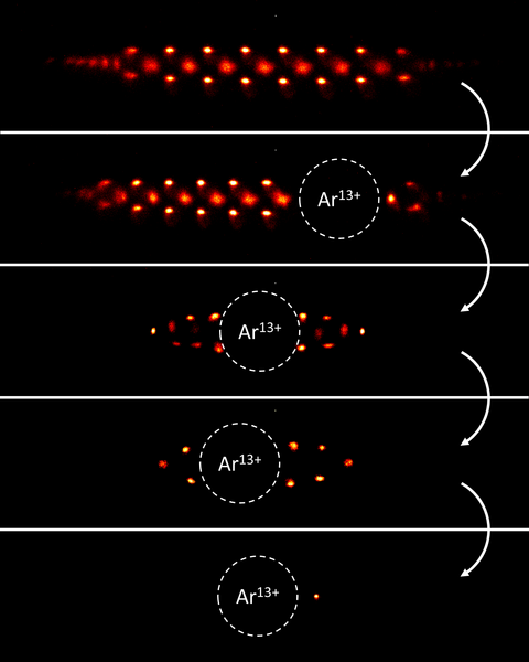 Implantation of the Ar¹³⁺ ion into the laser-cooled Be⁺ ion crystal and step-wise reduction to the quantum logic configuration of an ion pair.