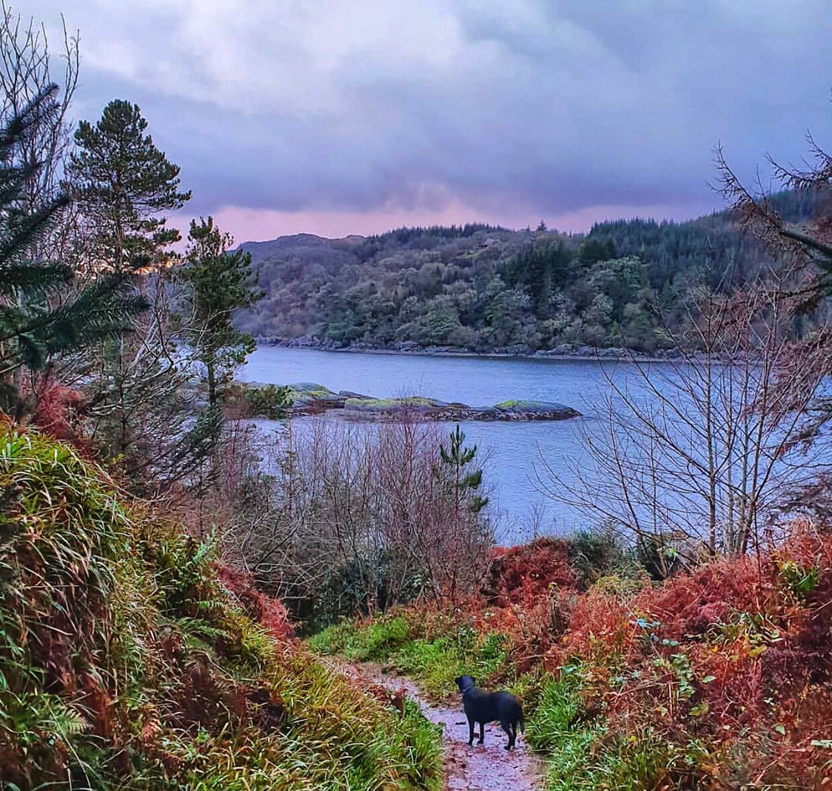 Truly one of our favourite photos of the views you can see beside the Castle from Barmore Island - what are your plans this weekend? 
#plans #weekend #friday #viewsfordays #outdoors #naturelovers #pinksky #thesea #visitscotland #explorecotland #hiddengem #hiddenscotland #argyll