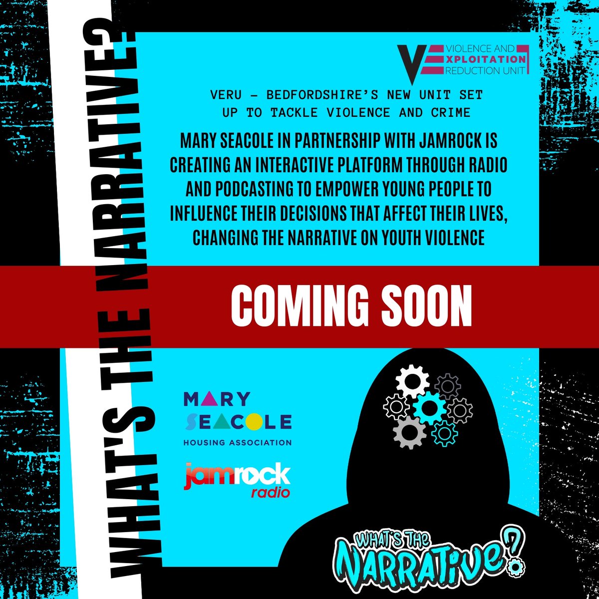 MarySeacoleHA's tweet photo. First Live Broadcast - Tuesday 4th Feb !!!!!! @JamrockRadioUK @kimberleyVERU @ActiveLuton @CllrTMalik @love_luton @Discover1slam @inspirefm @VFK_LutonDART @ToureenGroup @LBFEW @RachHop @irfan_fozia @CSuptBedsPolice @nearneighbours @LLieutenantBeds @RehanaFaisalH @bedlutcf https://t.co/7SFnrHlZvS
