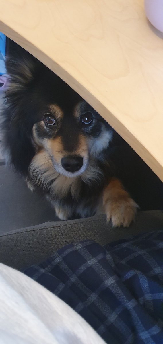 TeosGame's tweet image. I can't work in these conditions