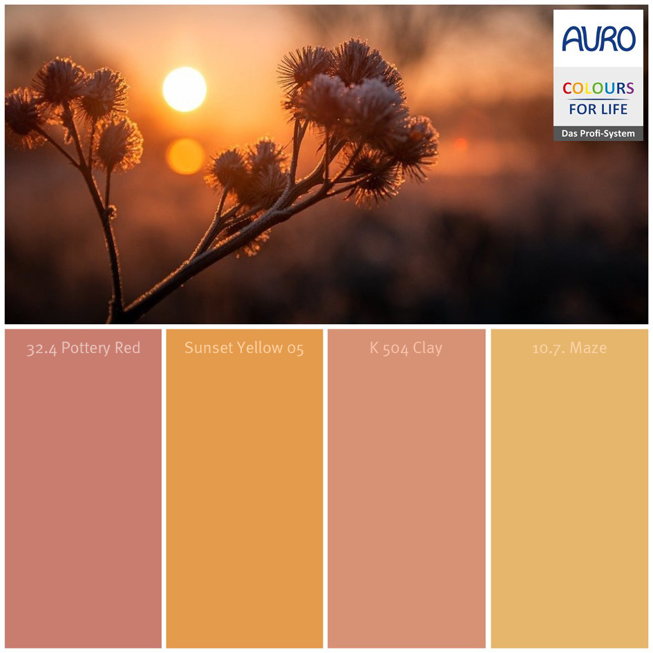 Sonnenaufgänge im Winter zaubern das schönste Farbenspiel an den Horizont. Hier die COLOURS FOR LIFE-Linie mit den passenden Farben für eure Wände und Möbel.
bit.ly/2LigAtq #AURO #auronaturalpaints #coloursforlife #aurofarben #wandfarbe #ökologisch #interiordesign #DIY