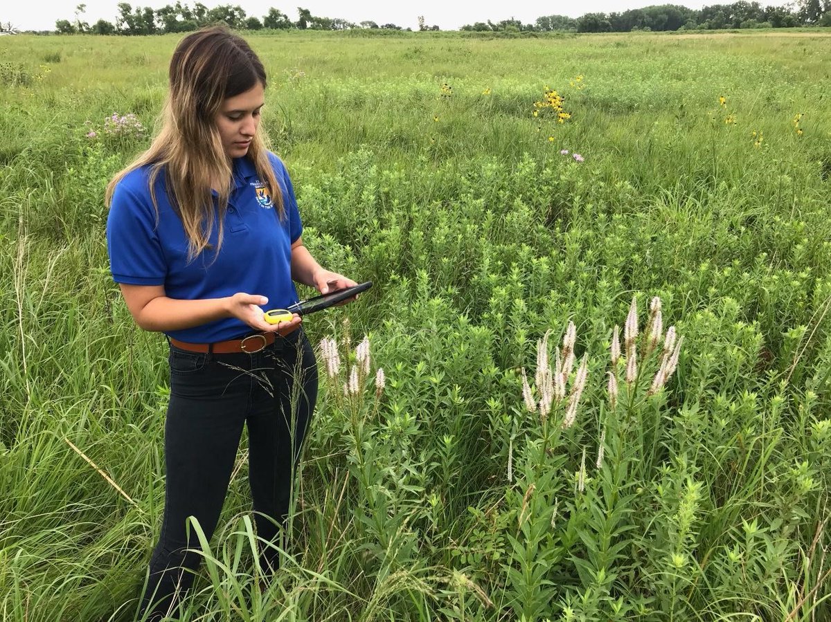 female with long brown hair and a blue shirt holding an ipad while standing in a field of tall grasses