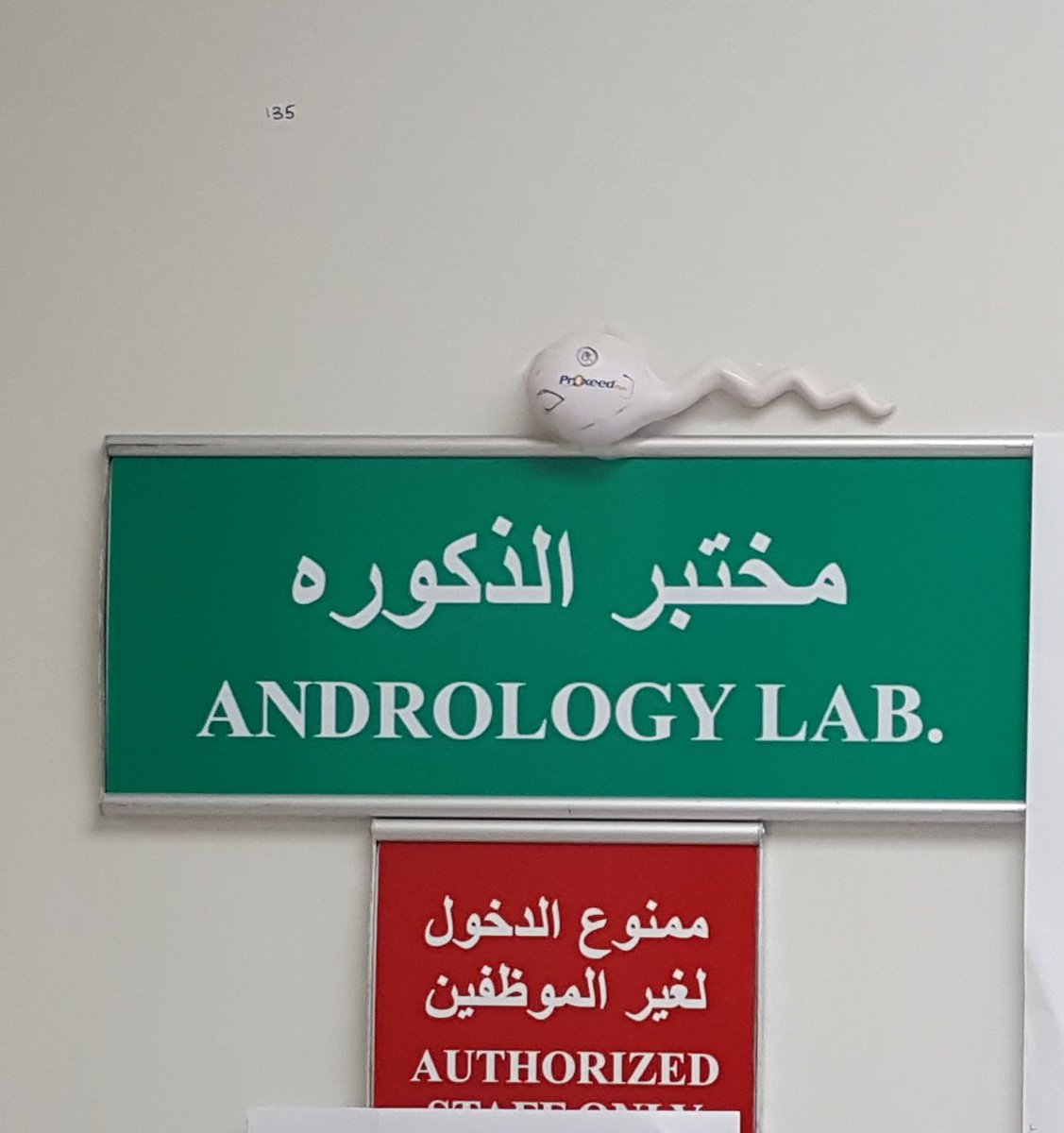 Andrology Lab:الاختبارات في هذا القسم تنقسم لاختبارات بإهداف تشخيصية أو علاجية.Diagnostic tests: