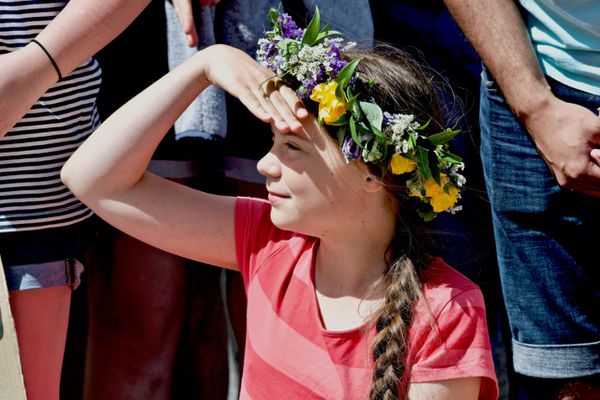 Mr. Horse tweet media