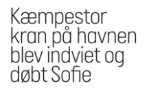 Sofie Nepper-Christensen tweet media