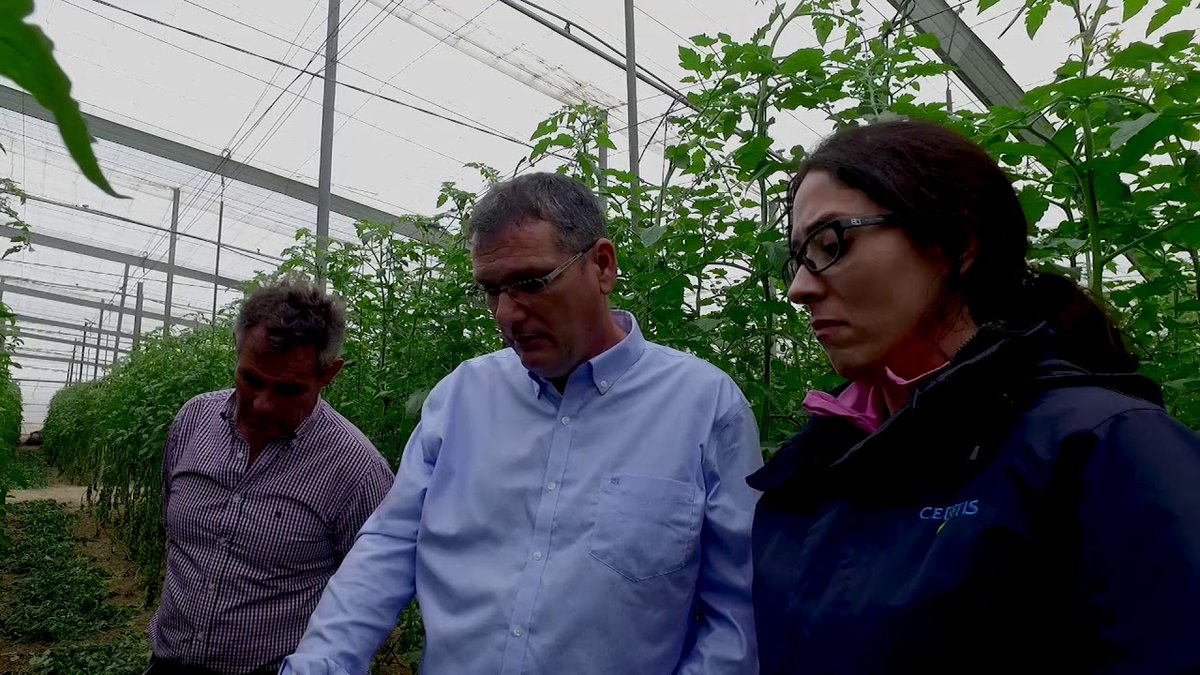 CertisBelchimES's tweet photo. Historias de G4TF - Historias de G4TF - Manuel Fenoi, agricultor de Almería, habla de su experiencia en este proyecto 👉 https://t.co/znvan0vt9a #G4TF https://t.co/b6hJJtgOoT