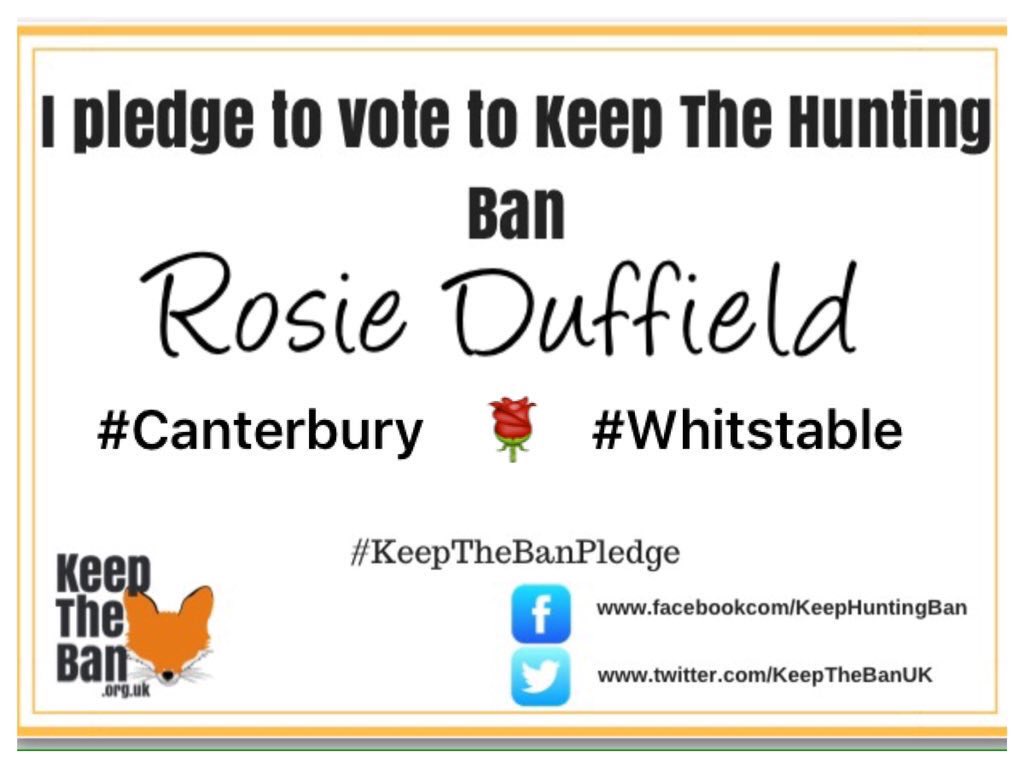 Labour4Animals's tweet photo. .@RosieDuffield1 is a STAR she took the #KeepTheBanPledge before she was elected. Her support for all #LAWS4Animals from a #TotalHuntBanNOW to #TotalBanHuntingTrophies &amp; @BanTrophyHunting  is so valuable 🌹🐾🦊🐾🌹 We love Rosie #Canterbury cc @IFAWWestminster 🐘 @cbthunting 🦁 https://t.co/c5REKSPB2K