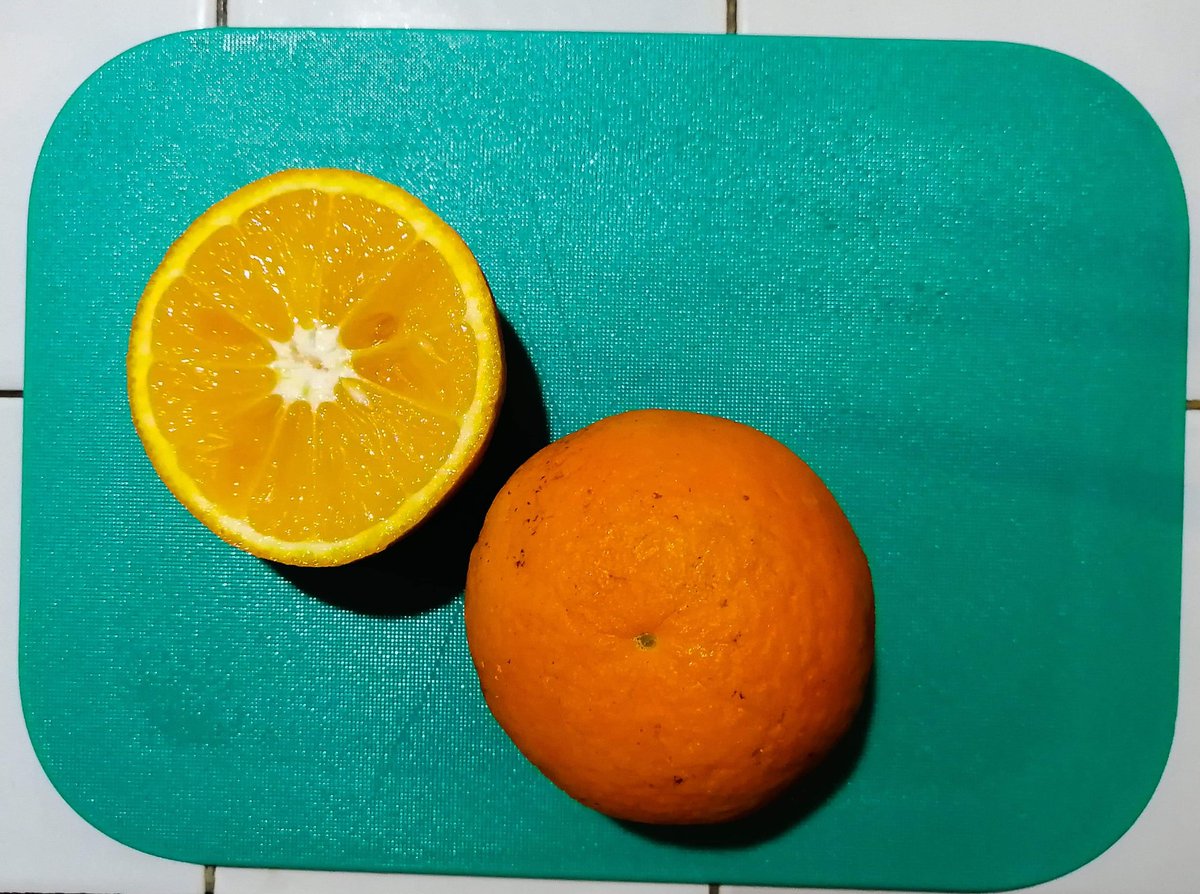 AlephBleb's tweet photo. A fresh palette

#cafe #beirut #lebanon #library #cozy #orange #fresh #colors #green #palette #photo #photooftheday https://t.co/Ycn392A6gj