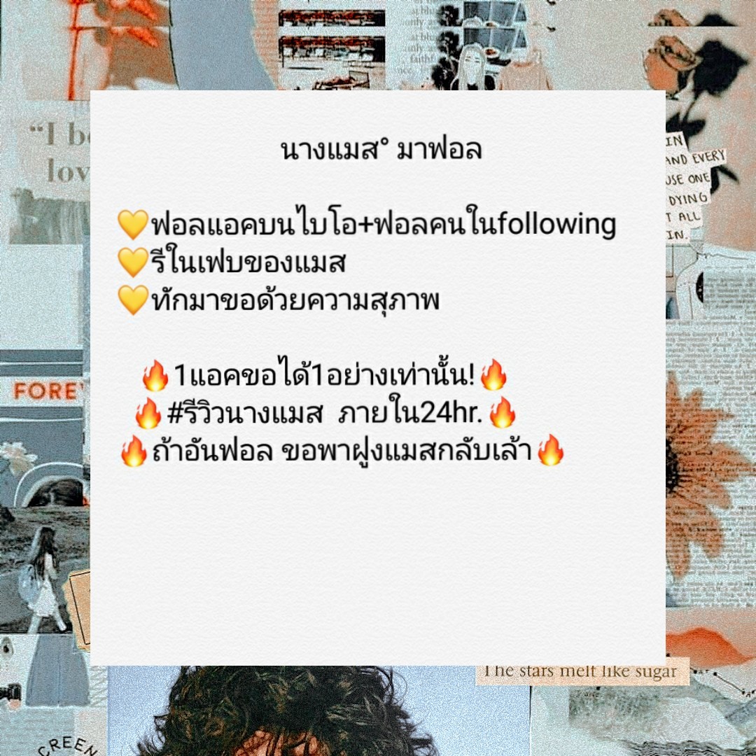 นางแมส° *ปิด tweet media