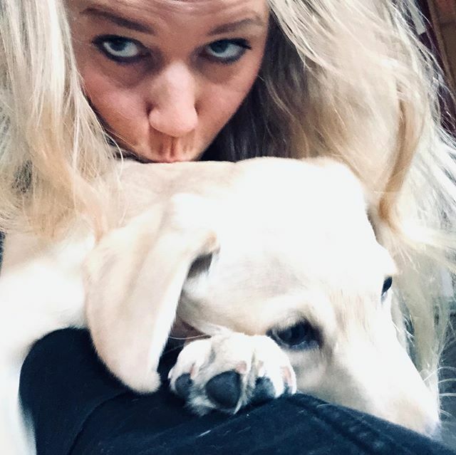 MickaKarlsson's tweet photo. In love 😍
#labrador #puppylove #cita #dog https://t.co/dV2kMc0tf5 https://t.co/YYWG43Snb5