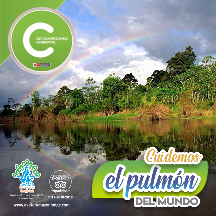 AvatarLodge's tweet photo. Nuestra selva amazónica también es el hábitat de una variada y exótica fauna que da vida y mantiene el equilibrio en este ecosistema. Contribuyamos a preservarla #JuntosPodemosLograrlo 🌴🐒🐨
.
🌎 https://t.co/PMgxTH9jfy
.
#31Ene #AvatarAmazonLodge #MensajesEcologicos https://t.co/FDrdQUbPDo