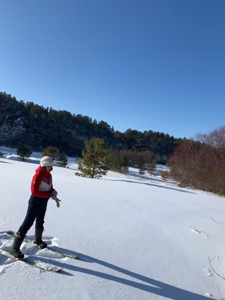 Dubinina191's tweet photo. Отдых🌲❄️ https://t.co/cMKiMa069P