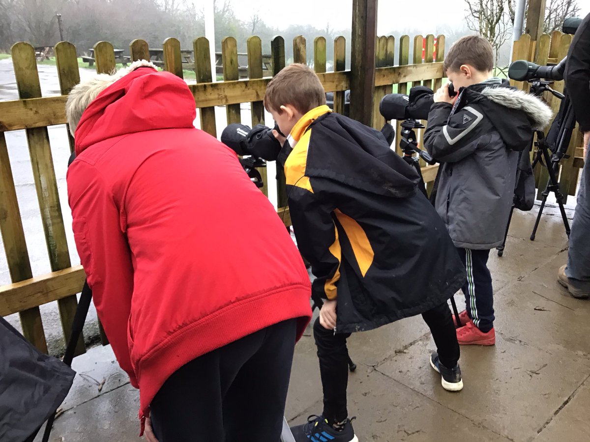 KnelstonPrimary's tweet photo. Blwyddyn 4/5 taking part in the RSPB Big School Birdwatch, a big thank you to Meg and Mark from the National Trust for helping us #knspeco #ntgower #rspb https://t.co/lWm3E0TCmd