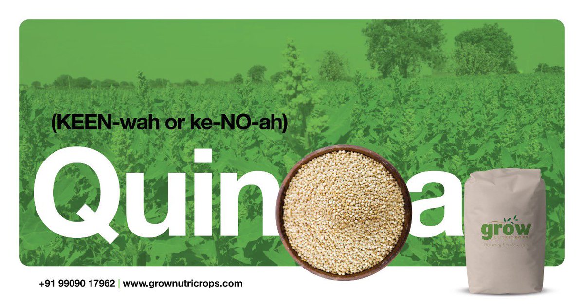 Grow Nutricrops International (@nutricrops) on Twitter photo 