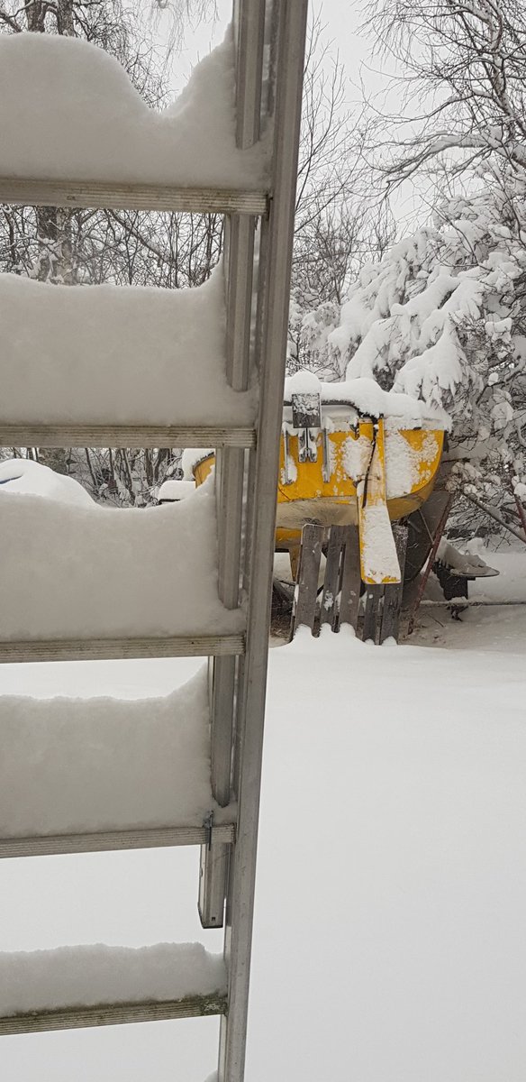 AsaMariaHedberg's tweet photo. Ser folk efterlysa snön
Den är hos oss och det fortsätter vräka ner. Ca 60 cm på tomten. Tre minus så här vi tur får vi behålla vintern ett tag. 😊
#Hammerdal https://t.co/t0FnoH73iM